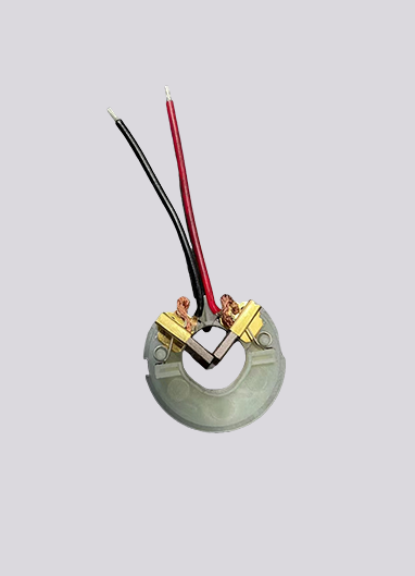 Customized carbon brushes